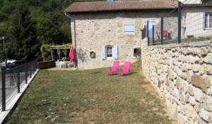 Olive trees - Mas de Dardet