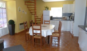 Olive trees - Mas de Dardet