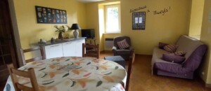 Olive trees - Mas de Dardet