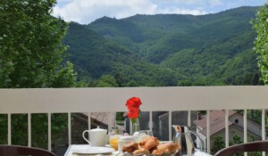 Hôtel les Platanes_Thueyts