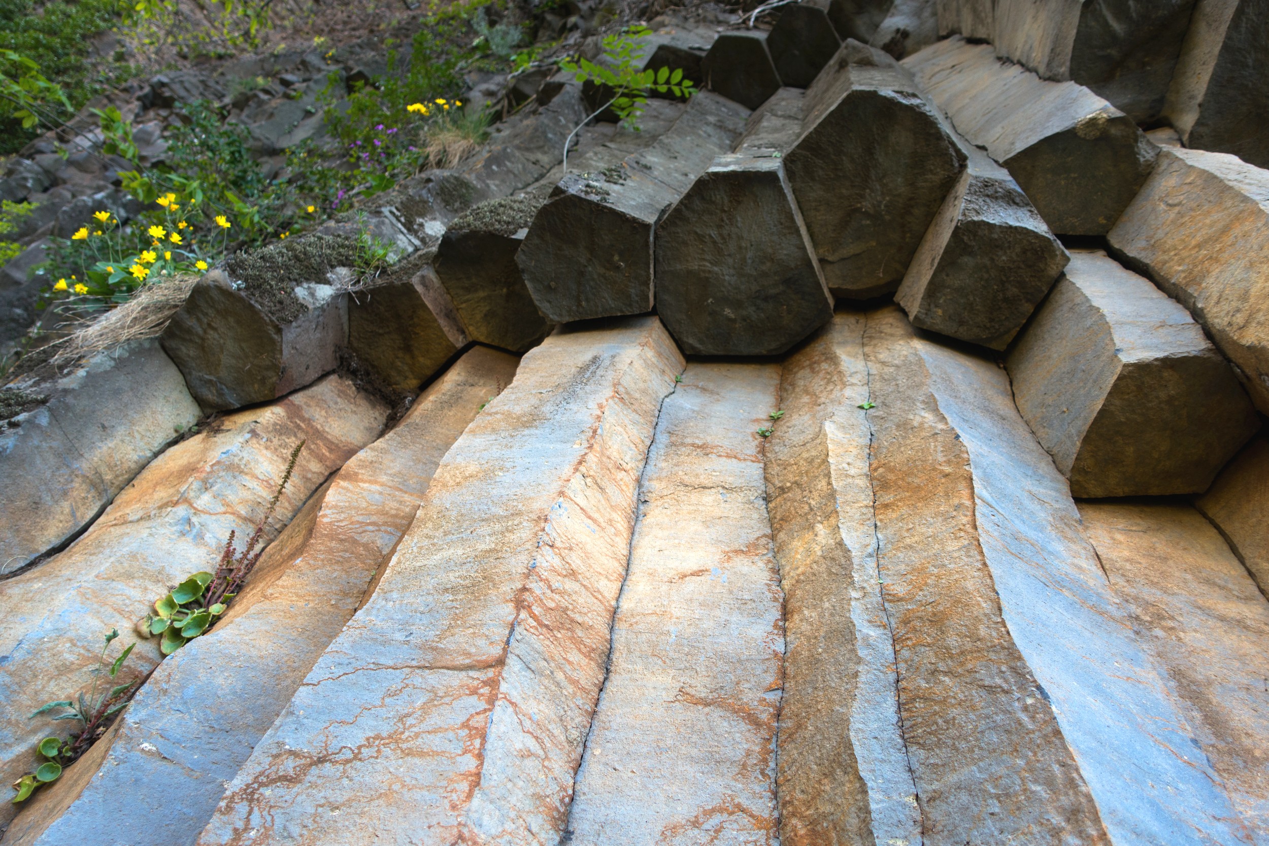 The Giant's Causeway