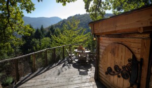 Le Mas dardet_LA CABANE