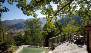 Le Mas dardet_LA CABANE