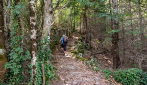 Thueyts - Montée en direction de Fargebelle et échelle de la reine ©sourcesetvolcans