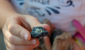 Thueyts - Visite géologique à Thueyts - basalte pierre volcanique ©sourcesetvolcans