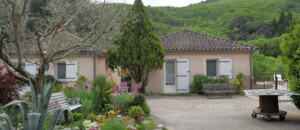 Albizia - (gîtes de Neyrac-les-Bains)_Meyras