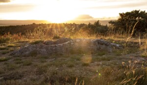 Dolmen du Ranc de Guilhaumet_Uzer