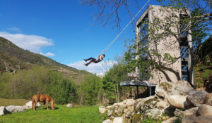 les cabanes du loup bleu