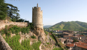 Vignobles en terrasse_Tournon-sur-Rhône