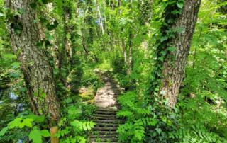 Tipps und Tricks von Trappern Trucs et astuces de trappeurs_Jaujac - ©pnrma