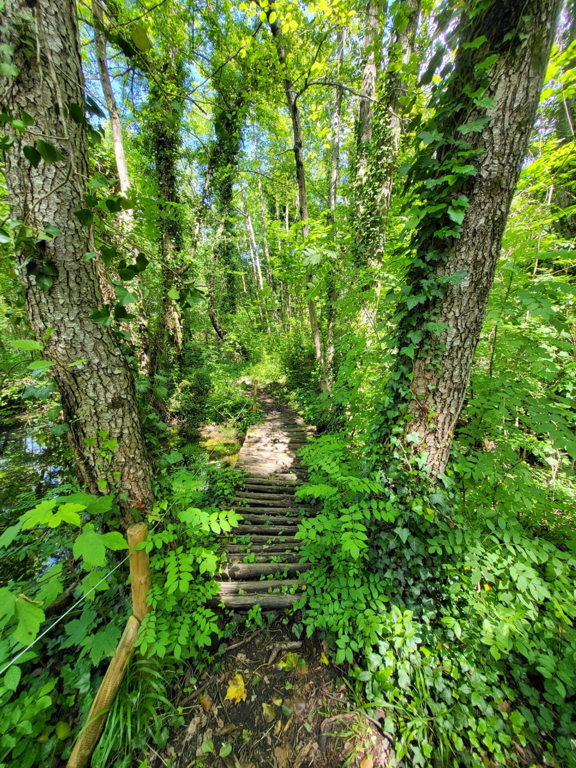 Tipps und Tricks von Trappern_Jaujac