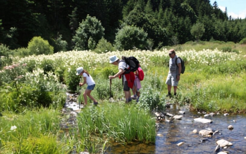 A walk and a picnic by the river with a donkey_Burzet