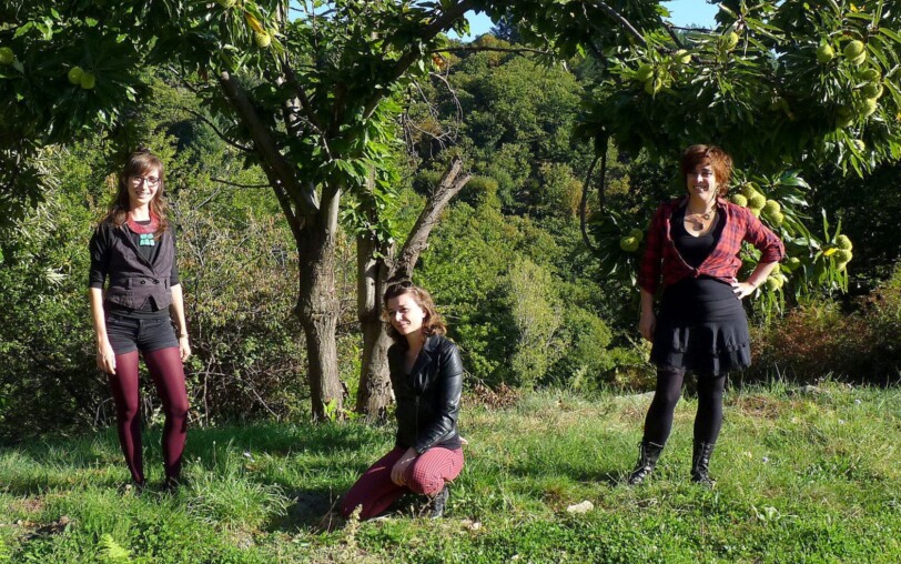 Creators' market: concert by Trio Baïritz_Meyras