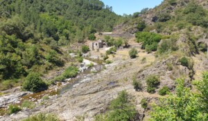 Pêche à la mouche dans la Drobie