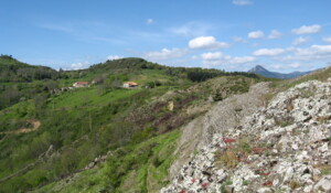 La Vallée des Tuiliers
