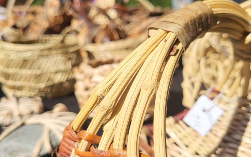 Family Workshop – Wild Wickerwork_Jaujac