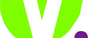 logo village de caractere