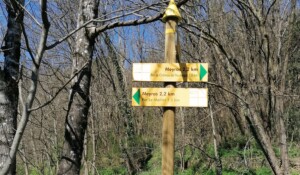 Panneau signalétique