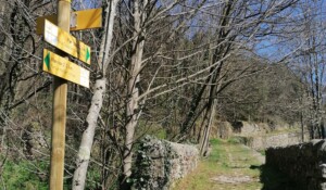 Avant le pont