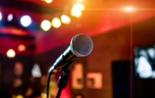 Animations musicales au Meyrassou_Meyras - ©pixabay