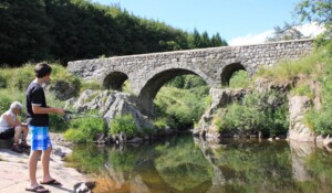 Around Mont Gerbier de Jonc with a donkey_Burzet