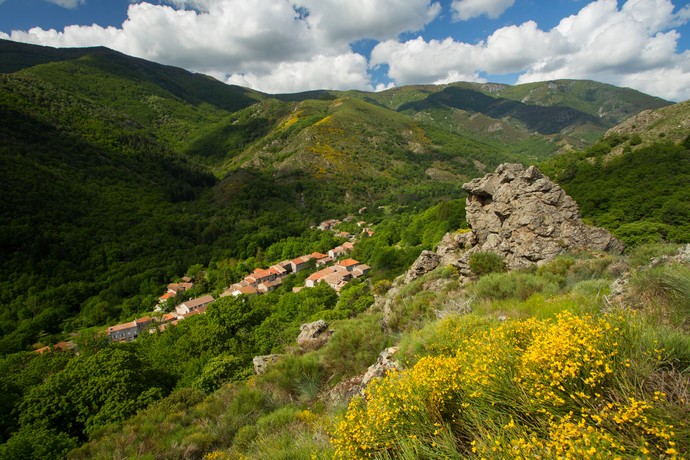 Le village de Mayres en Ardèche vu des montagnes fleuries de genêts