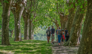 30 years of ‘Villages de Caractère’: exclusive tour : Neyrac – it’s a natural choice!_Meyras
