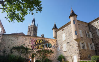 Vue château de blou - ©@VivaThueyts