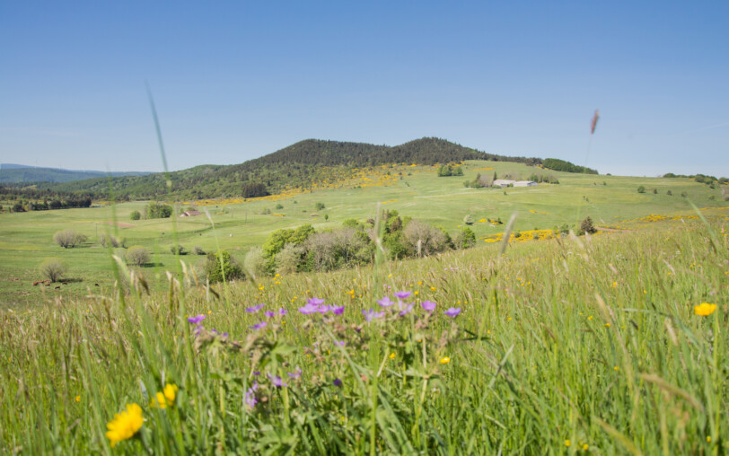 Le volcan du Cherchemuse
