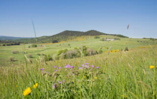 Le volcan du Cherchemuse