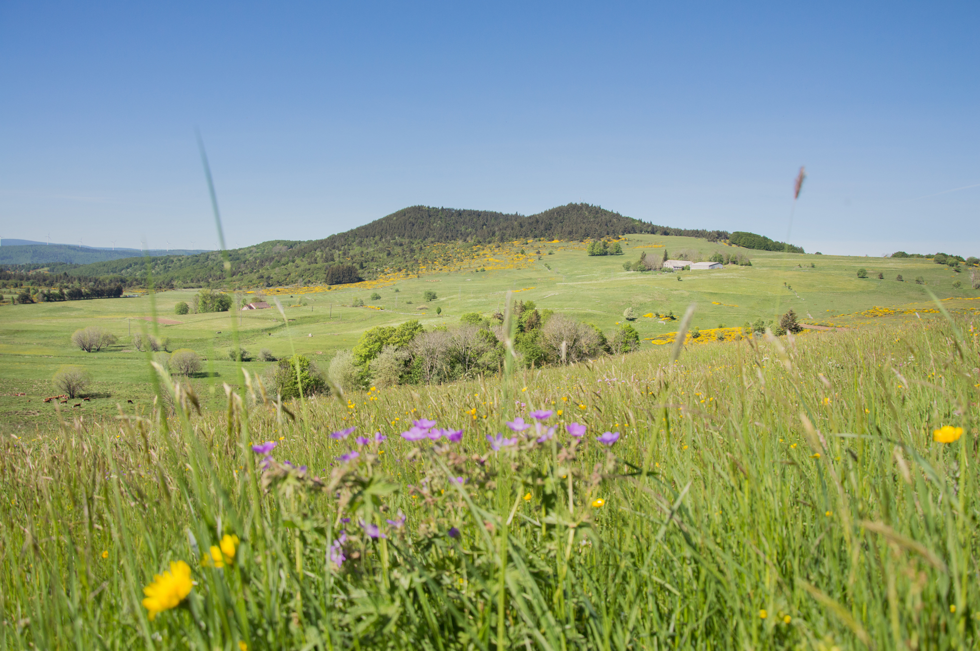 Le volcan du Cherchemuse
