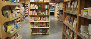 Vue sur le rayon livres