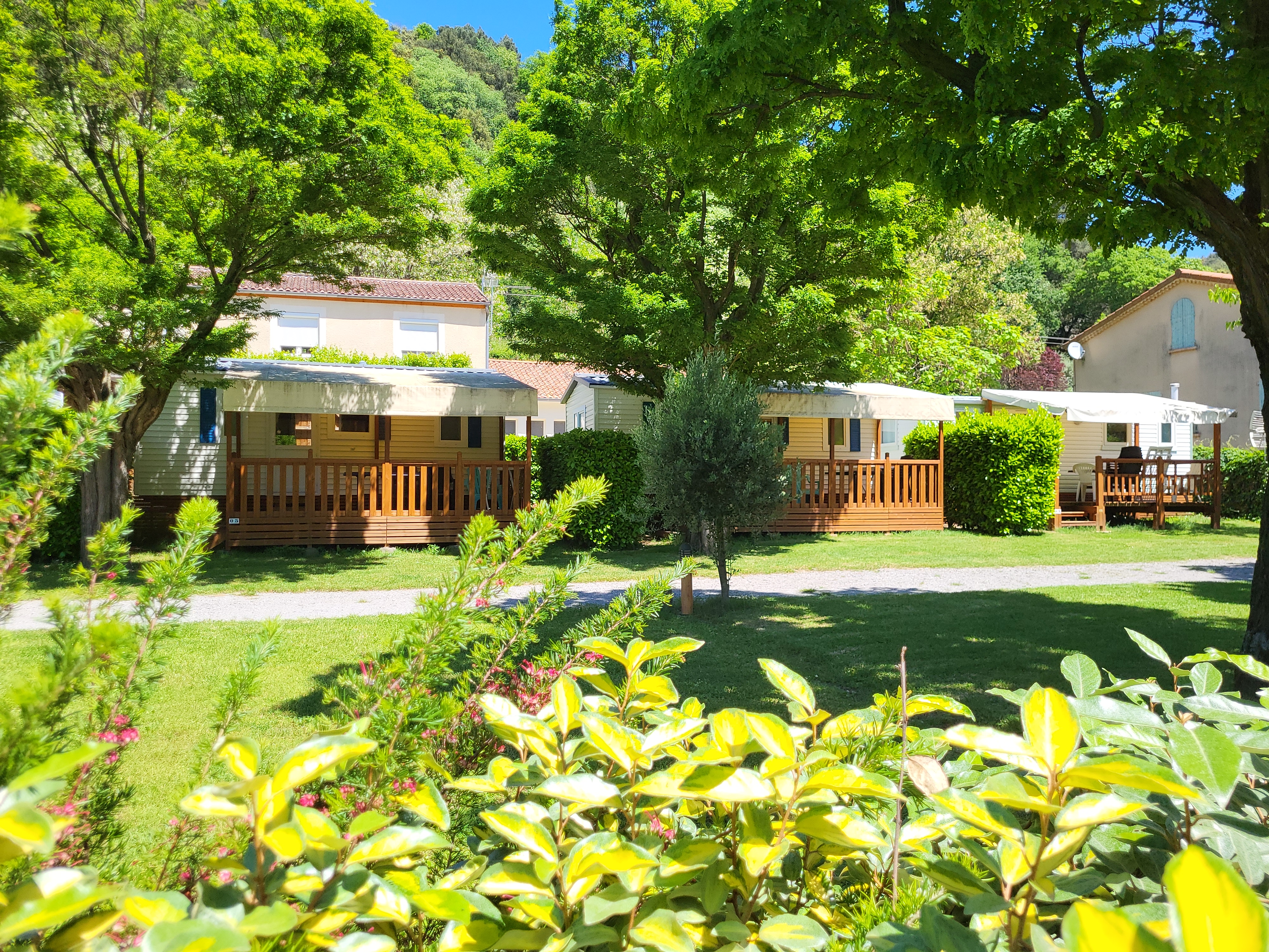 Vue sur les mobil homes toiles