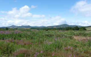 Vue sur les sucs - ©A Chesney
