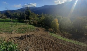 Vue des terres agricoles