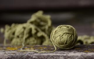 Atelier Pastoralisme et laine Pelote laine - ©pixabay