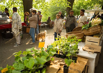 Marché en Ardèche